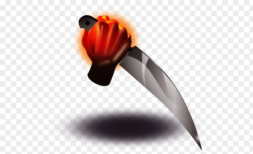 Dagger Cutlery Cold Weapon Knife Plant Blade Tulip PNG