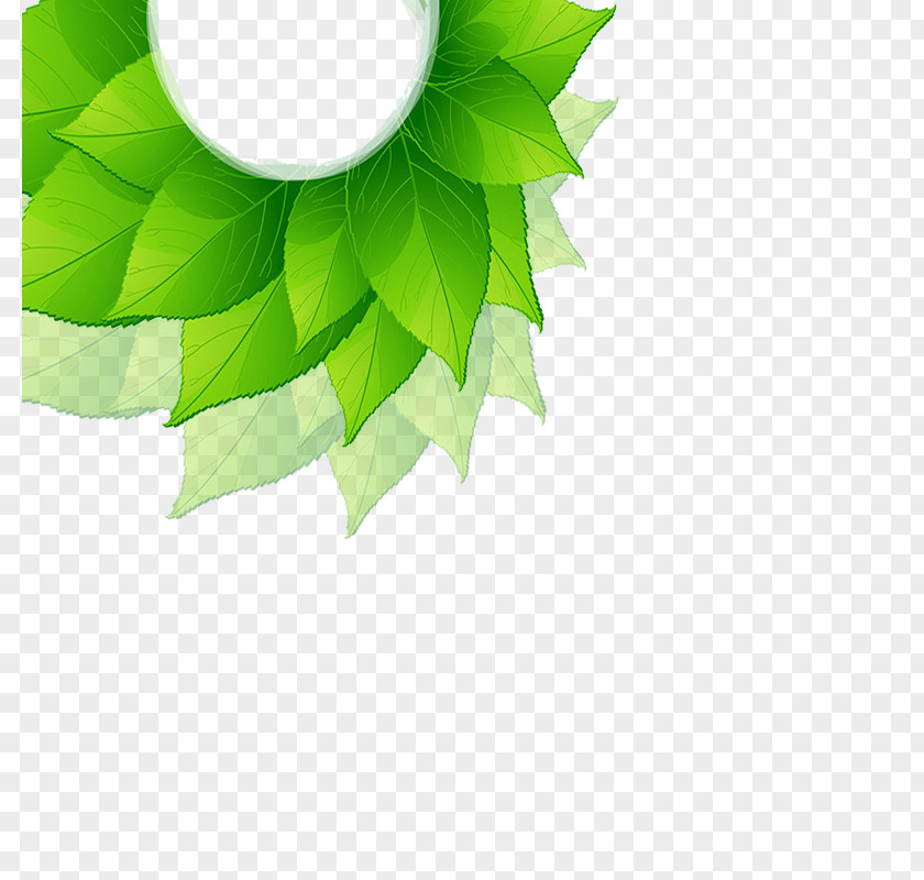 Green Leaf Free Clip PNG