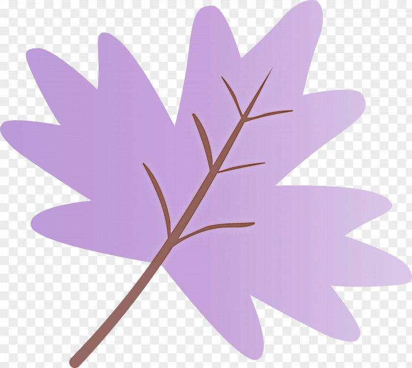 Leaf Purple Violet Plant Pink PNG