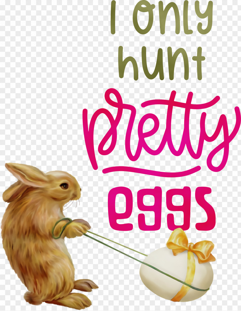 Meter Font Rabbit PNG