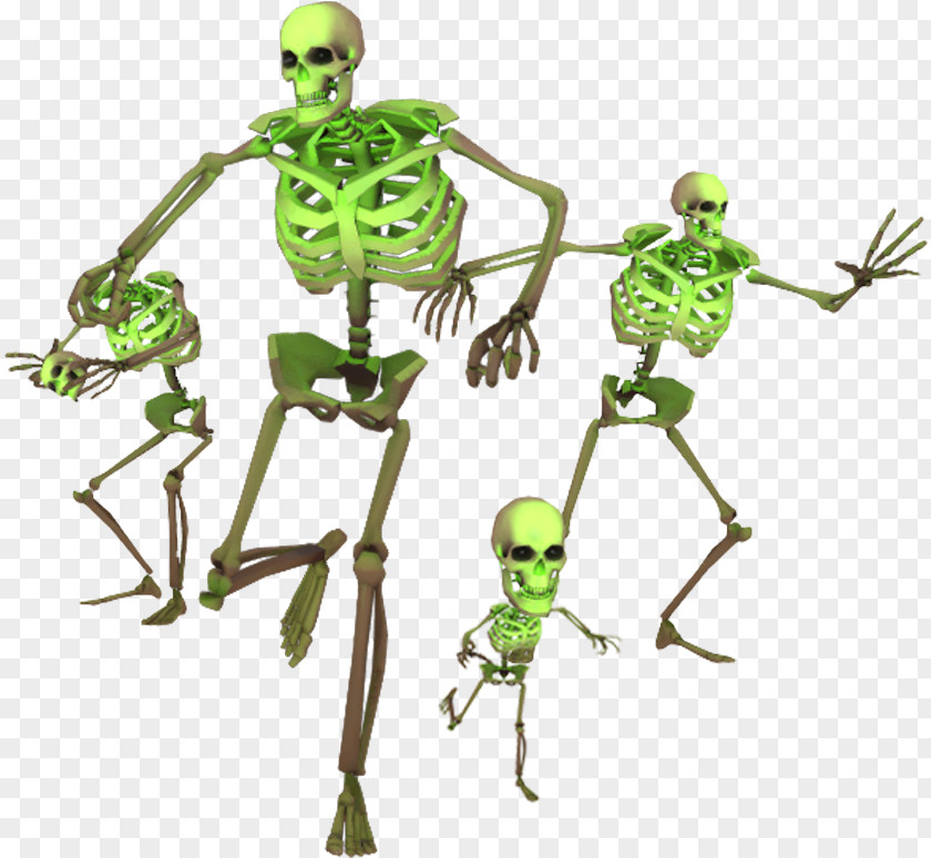 Skeleton Team Fortress 2 Skeletons: Museum Of Osteology Human PNG