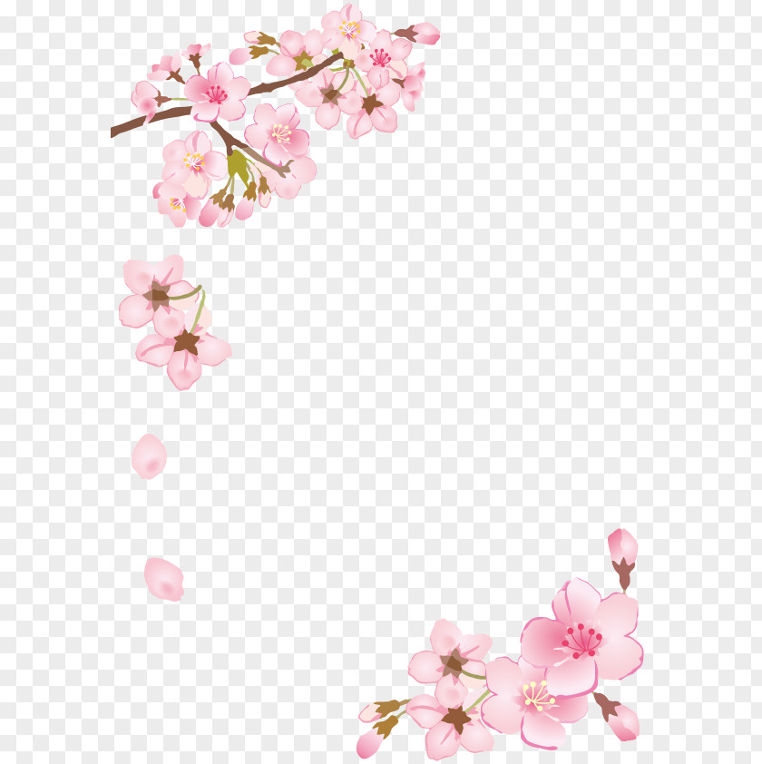 Spring.Others Cherry Blossom Fram PNG