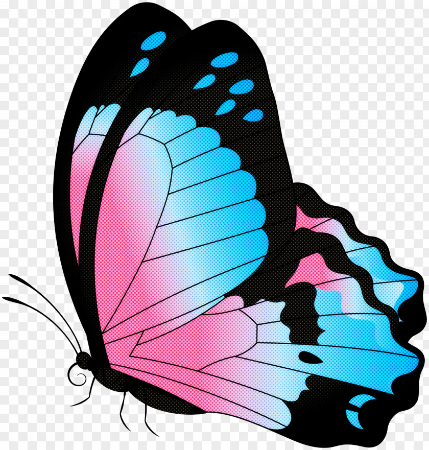 Brushfooted Butterfly Wing Moths And Butterflies Insect Pink Turquoise PNG