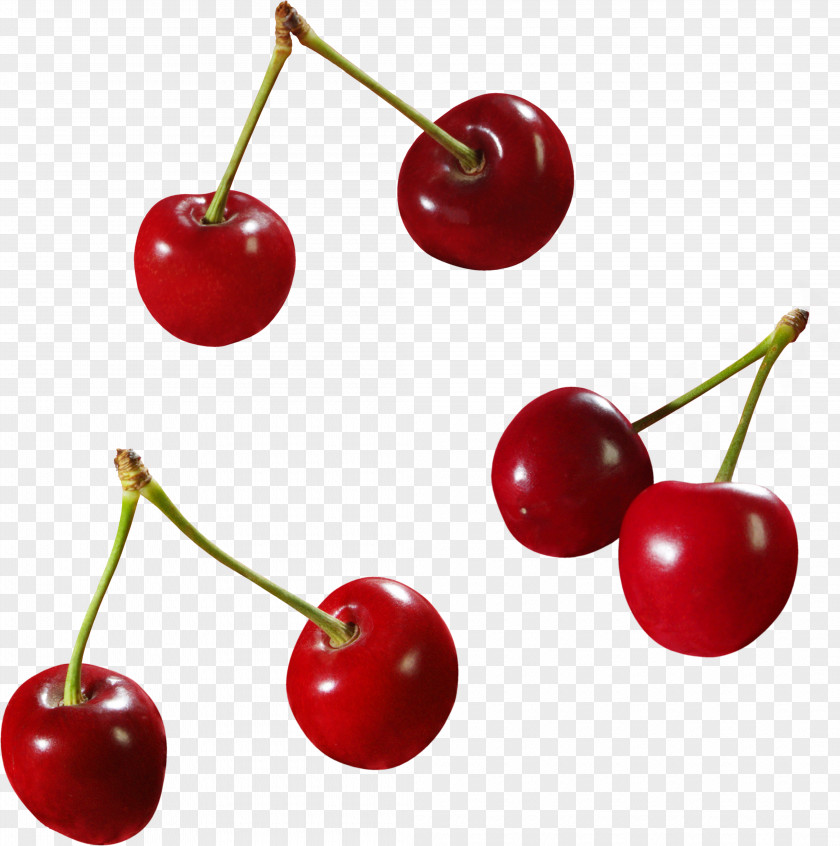 Cherry Sweet Cerasus Malpighia Glabra PNG
