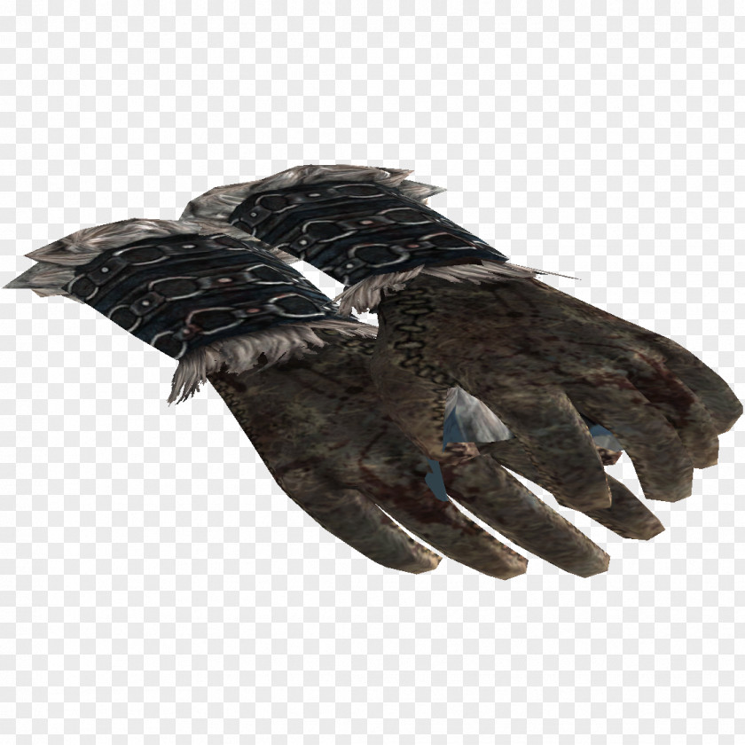 Eagle Glove PNG