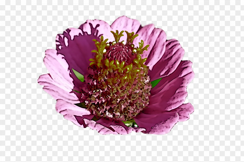 Lavender PNG