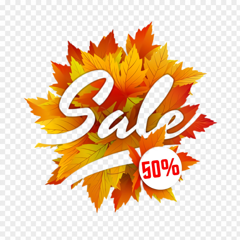 Thanksgiving Autumn Orange PNG