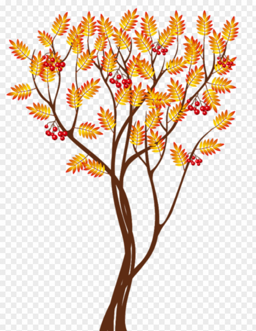 Autumn Clip Art Tree Desktop Wallpaper Image PNG