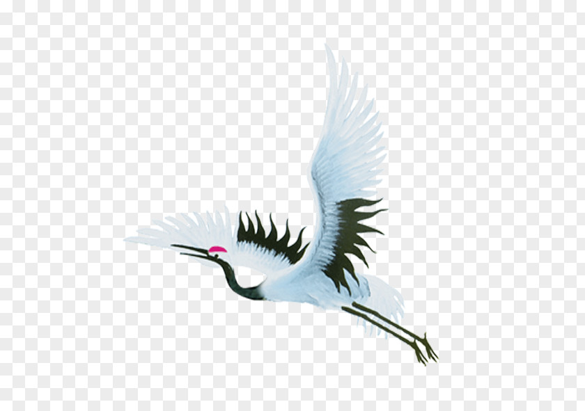 Chinese Style Crane Bird Flight PNG