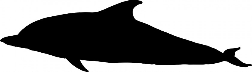 Elk Head Silhouette Dolphin Porpoise Black And White Fauna PNG