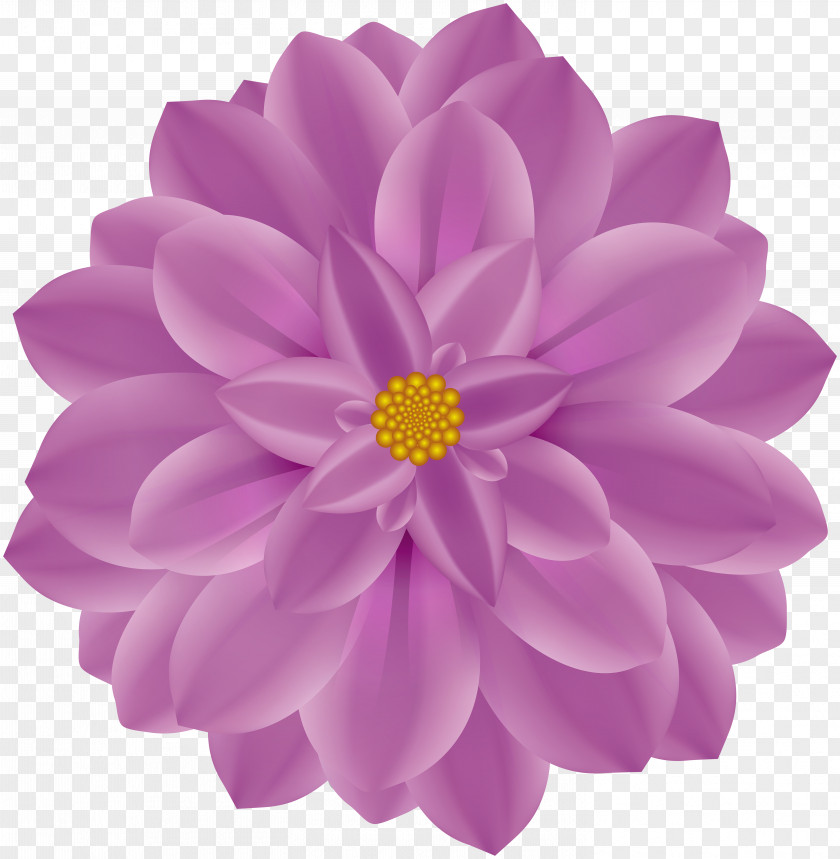 Flower Large Clip Art Image File Formats Lossless Compression PNG