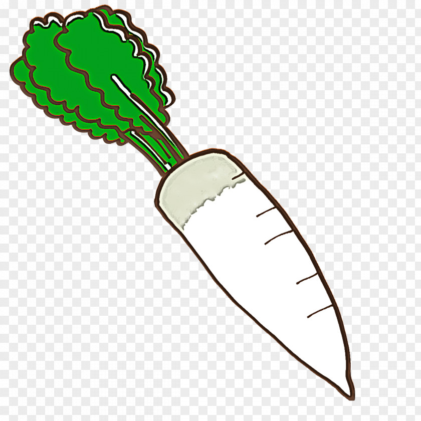 Fresh Vegetable PNG