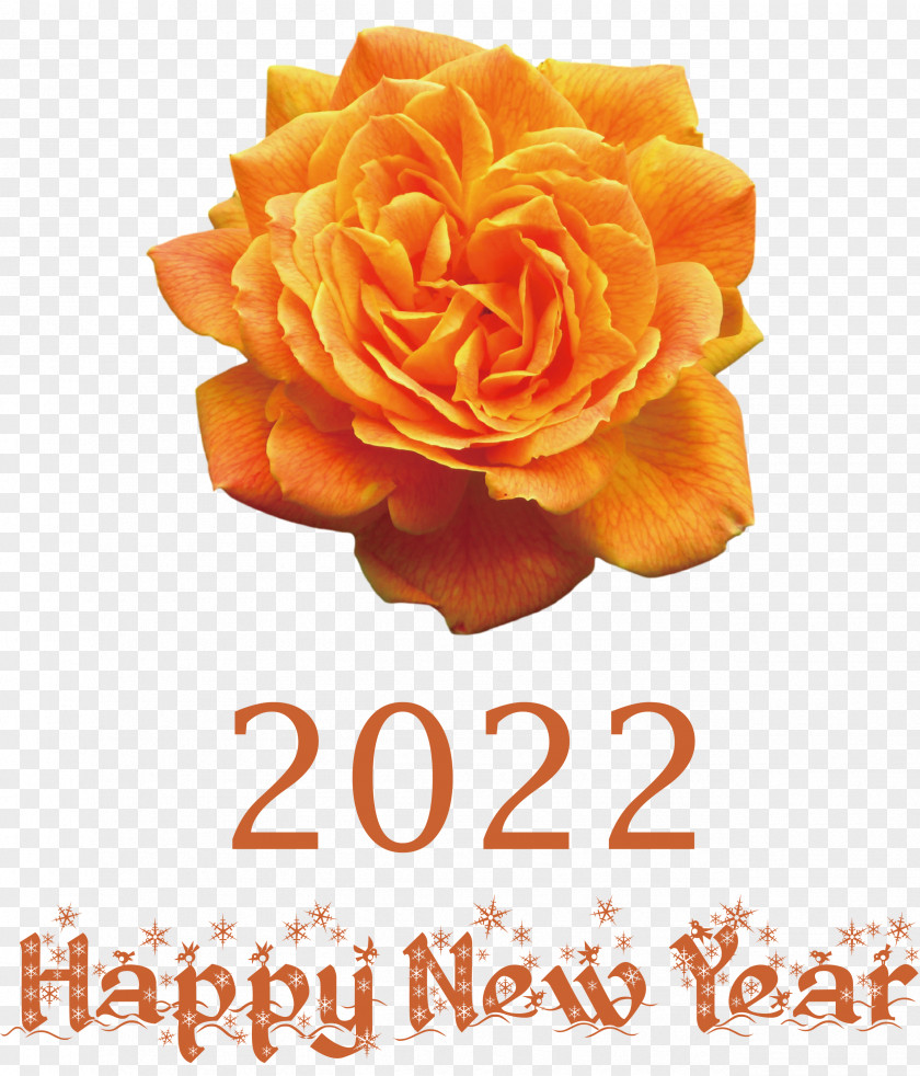 2022 Happy New Year PNG