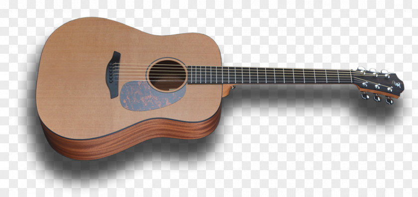 Acoustic Guitar Steel-string Acoustic-electric フォルヒ PNG