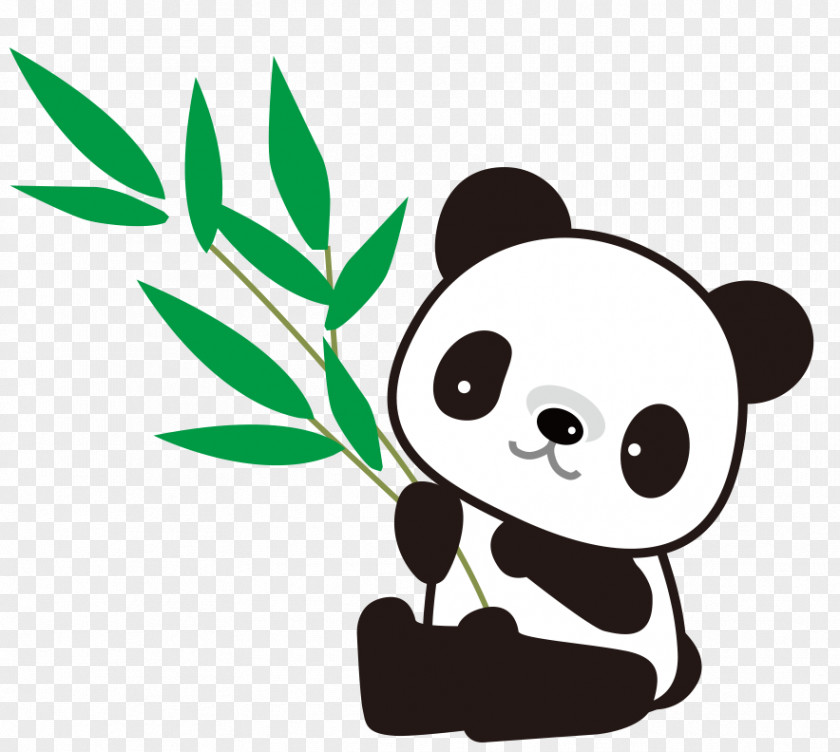 Bear Giant Panda Red Drawing Bamboo PNG