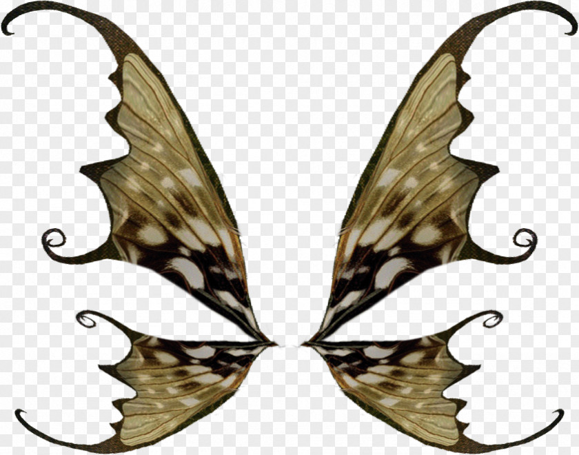 Bird Butterflies And Moths Fairy Clip Art PNG