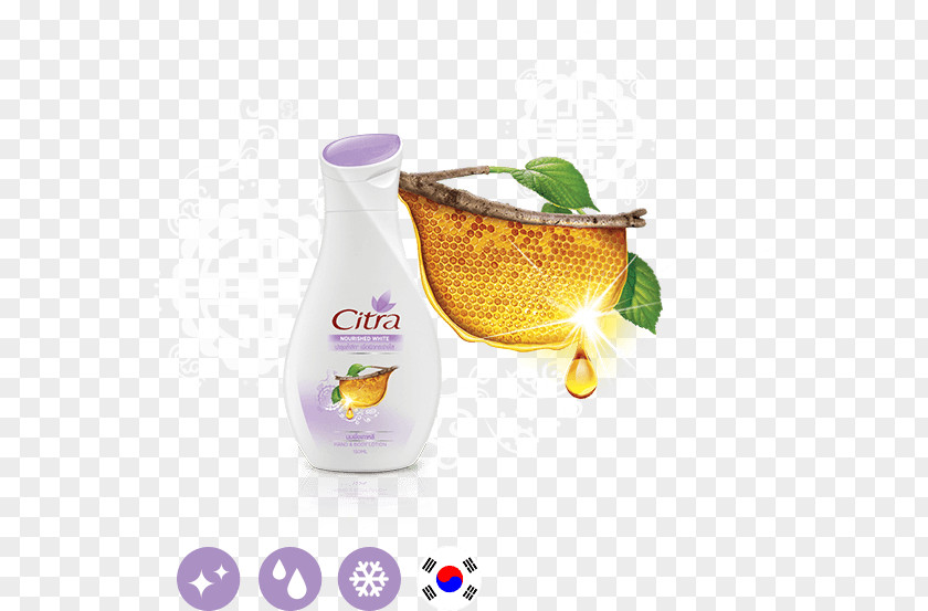 Citra Thailand Lotion Product Price Exercise PNG