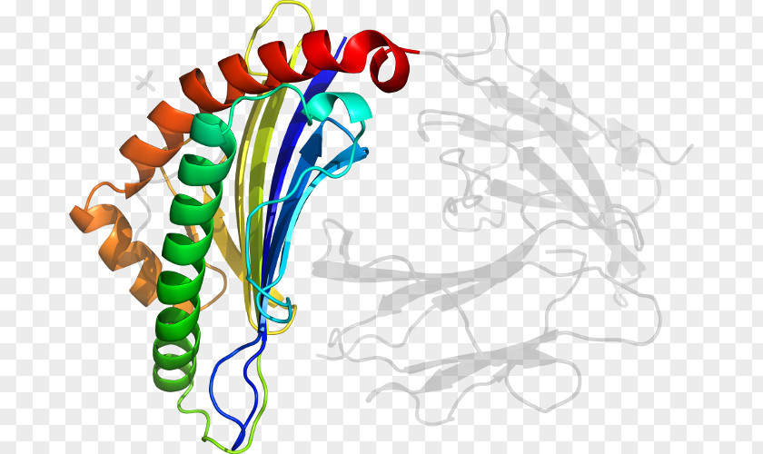 Clip Art Organism Line Special Olympics Area M PNG