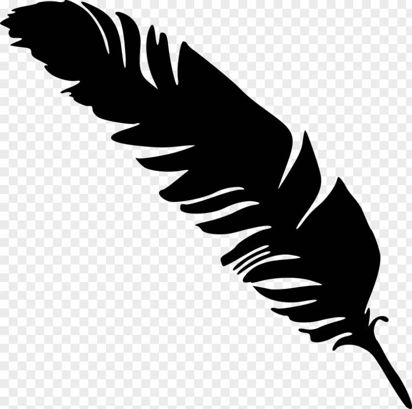 Feather Clip Art PNG