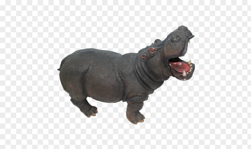 Hippo Pygmy Hippopotamus Hippopotamuses PNG