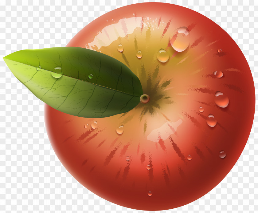 Red Apple Clip Art Image Computer Network PNG