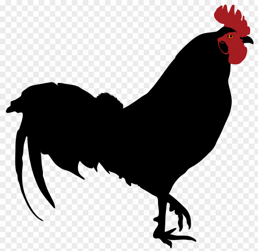Silhouette Rooster Drawing Clip Art PNG