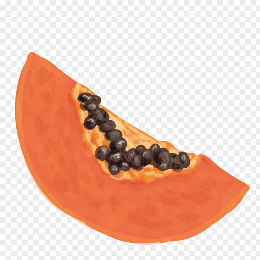 Vector Hand Painted Papaya Fruit PNG