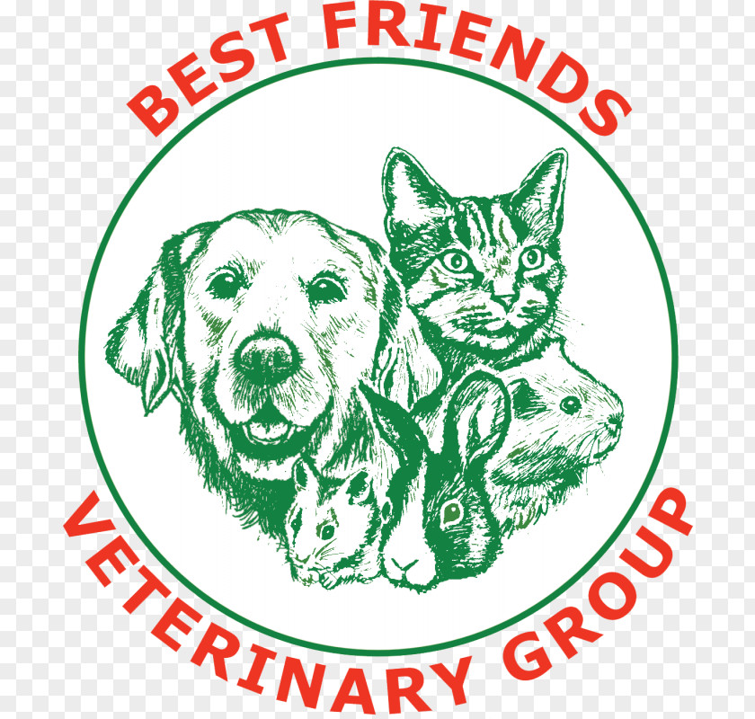 Dog Cat Best Friends Veterinarian Broadway Veterinary Hospital PNG