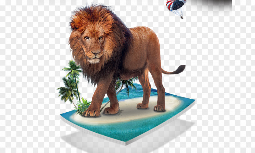 Lion Download PNG