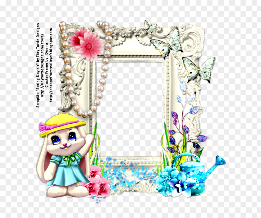 Window Picture Frames Mardi Gras Photography PNG