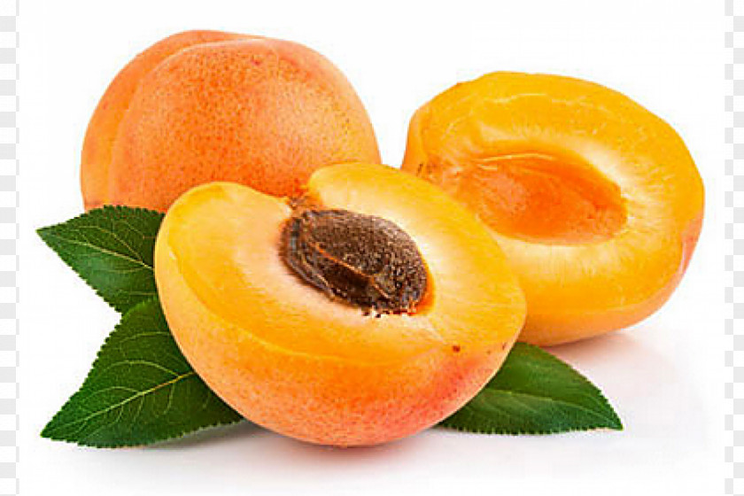Apricot Turkish Cuisine Kernel Fruit Drupe PNG