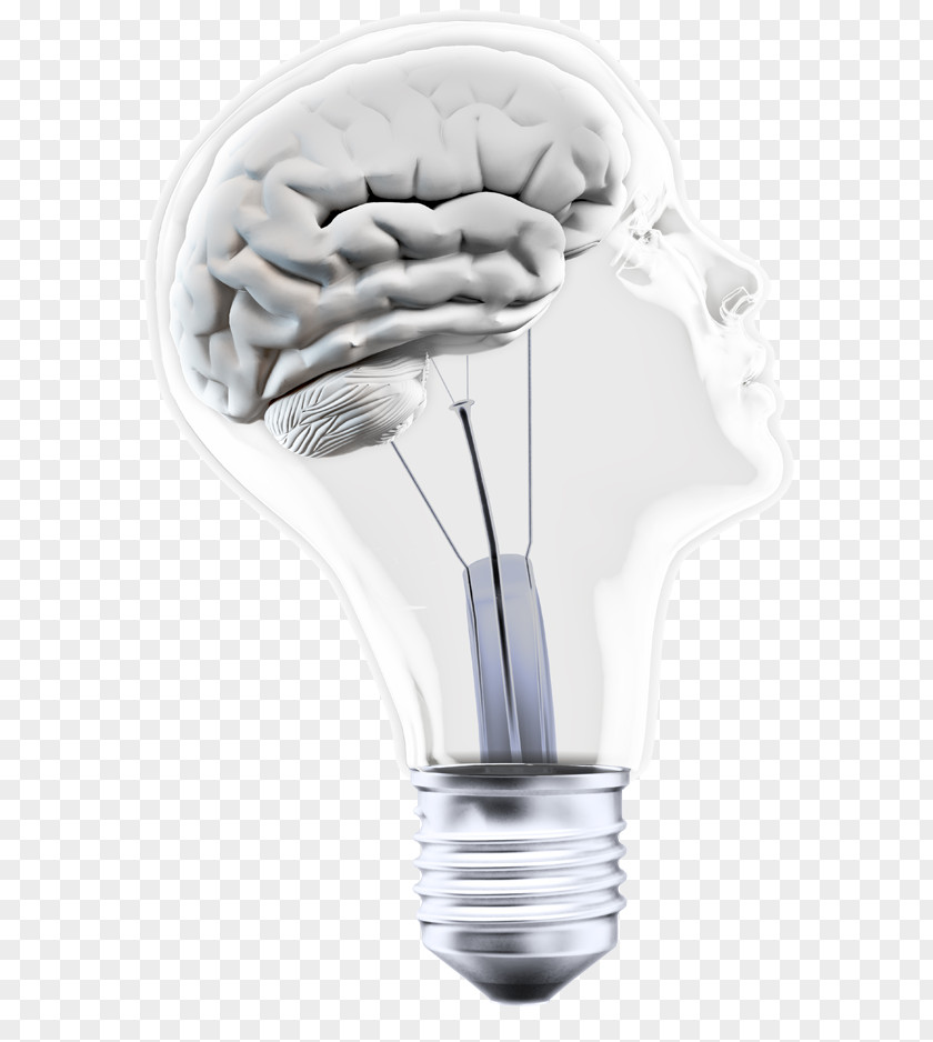 Brain Bulb Incandescent Light PNG