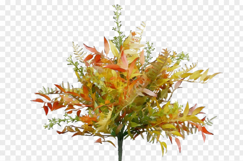 Floral Design PNG