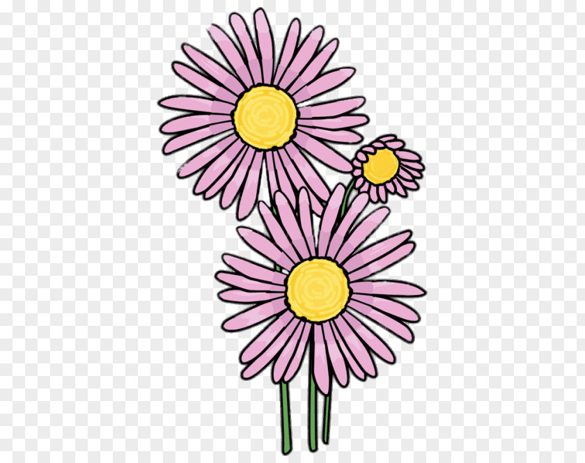 Flower Common Daisy Drawing Clip Art PNG