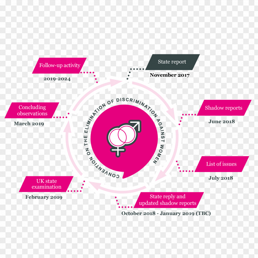 Timetable Convention On The Elimination Of All Forms Discrimination Against Women Treaty International Human Rights Instruments Committee Child PNG