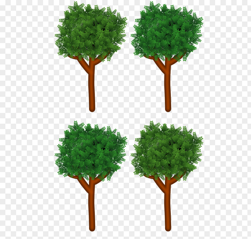 Tree Branch Forest Clip Art PNG