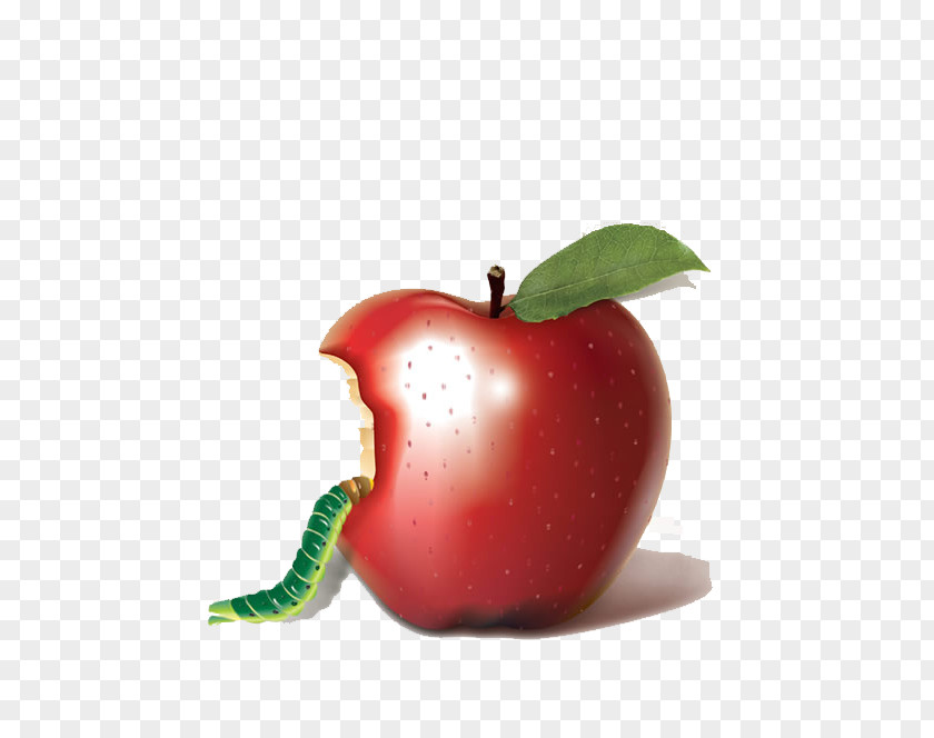 Bitten Apple Bobbing Biting Auglis PNG