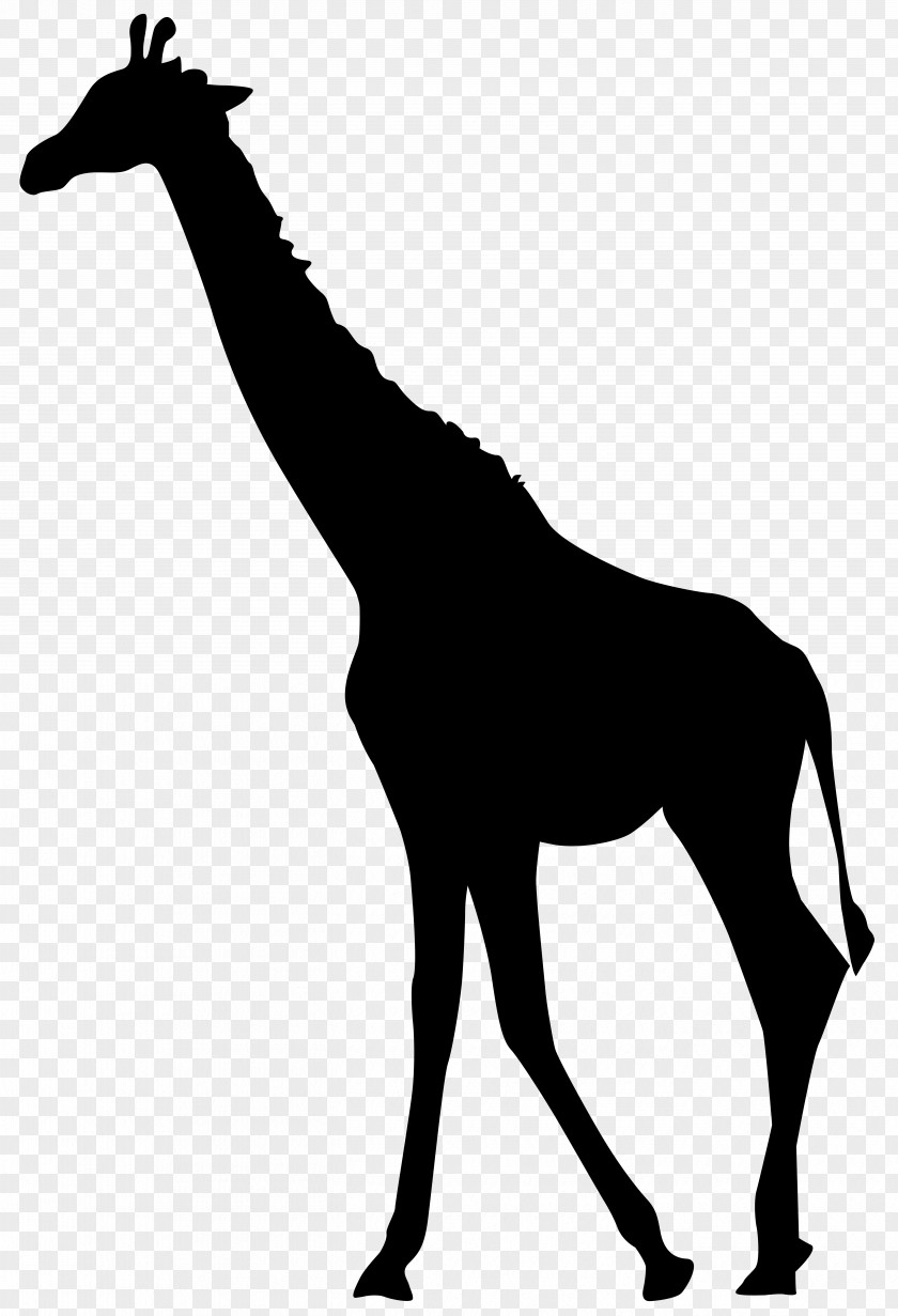 Giraffe Silhouette Transparent Clip Art Image PNG