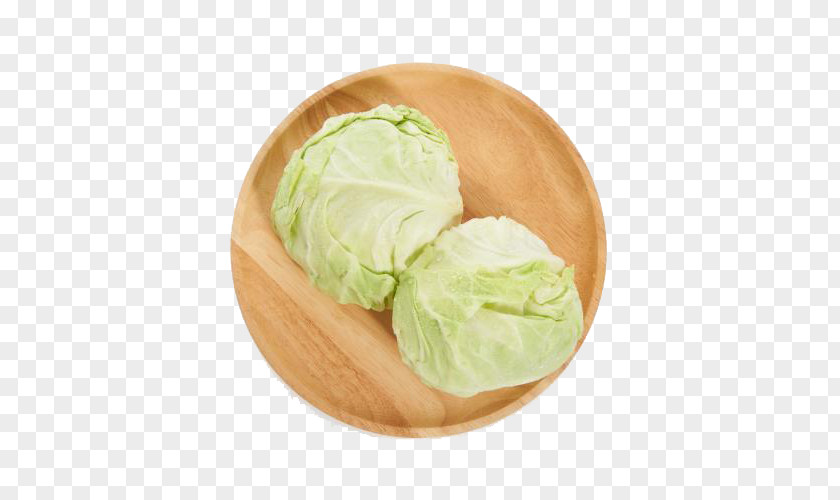 Green Cabbage Ice Cream Leaf Vegetable PNG
