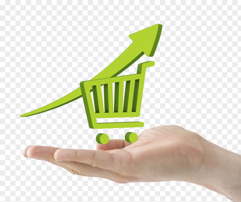 Hand Holding Shopping Cart Online E-commerce Software PNG