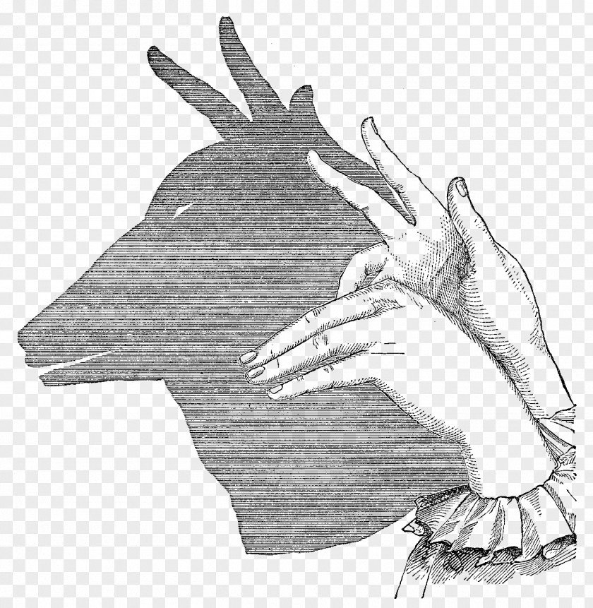 Shadow Puppet Play Puppetry Shadowgraphy PNG