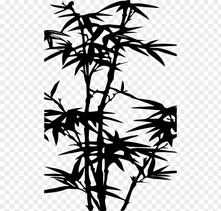Bamboo Sketch Silhouette Drawing Clip Art PNG