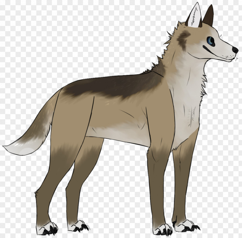 Dog Wolfdog Red Fox Breed Jackal PNG