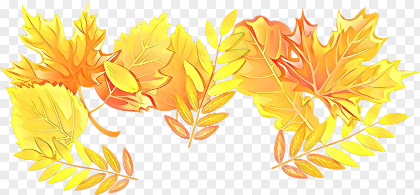 Flower Flame Orange PNG