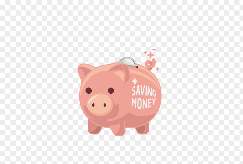 Piggy Bank Domestic Pig PNG