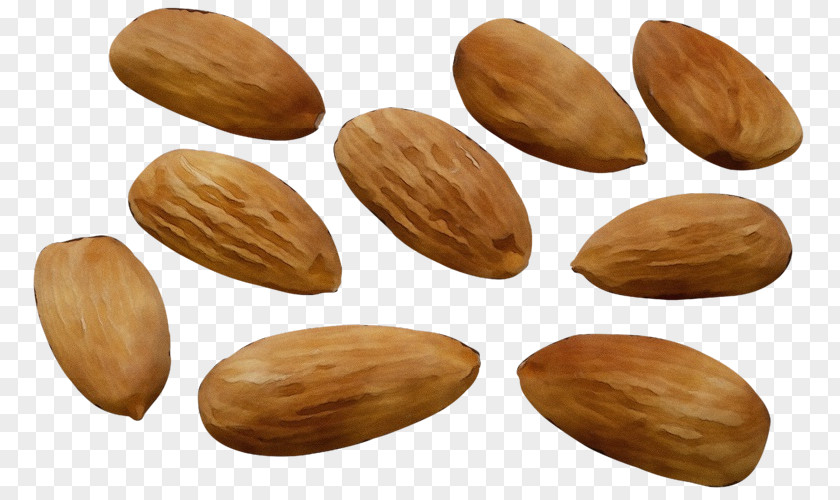 Prunus Superfood Almond Nut Apricot Kernel Nuts & Seeds Plant PNG