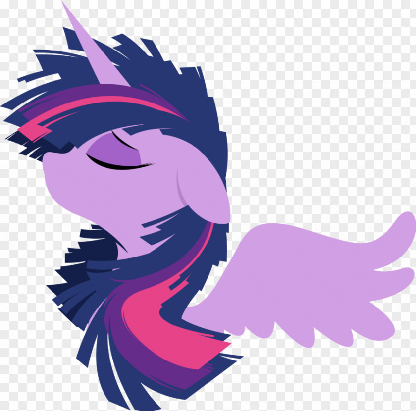 Twilight Princess Cadance Sparkle Pony Rarity Rainbow Dash PNG