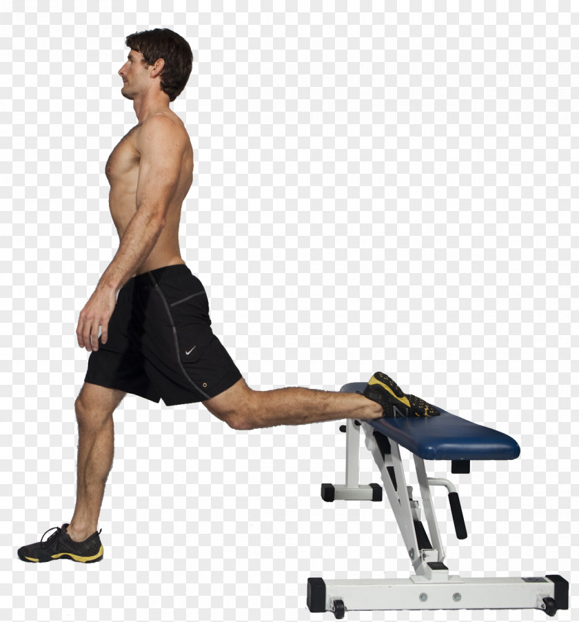 Dumbbell Physical Fitness Bench Lunge Squat Exercise PNG
