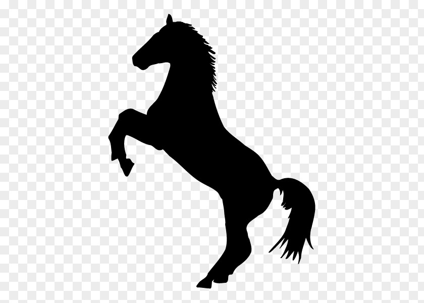 Horse Decal Sticker Rearing Stallion PNG