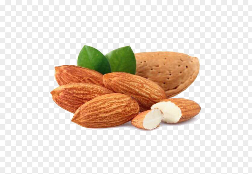 Almond Butter Nut Food Cashew PNG